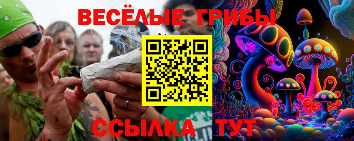 Псилоцибиновые грибы прущие грибы Луховицы